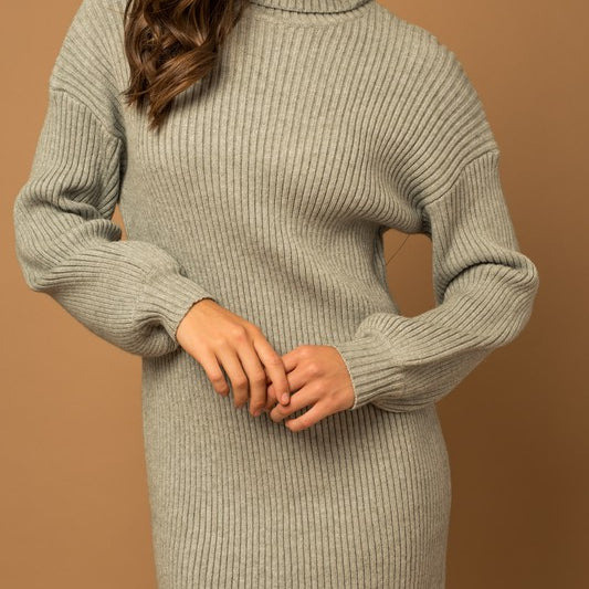 True To Oneself Turtleneck Long Sleeve Sweater Dress