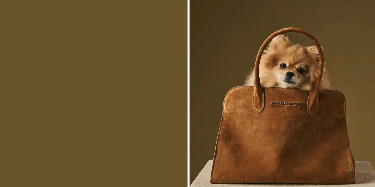 Brown Fratelli Orsini Italian leather handbag with small dog inside